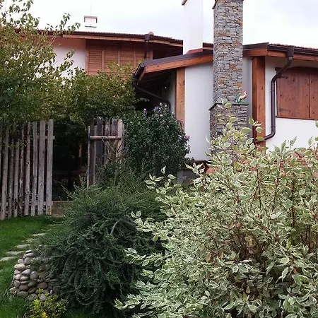 Daya Pensionat Aldomirovtsi